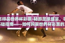 怎样买世界杯彩票-畅游足球盛宴，零基础指南——如何购买世界杯彩票的正确姿势