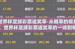 世界杯足球彩票返奖率-从概率的视角，世界杯足球彩票返奖率的一场剖析