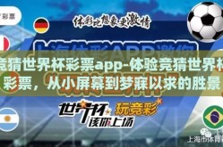 世界杯卖彩票赚钱吗-世界杯期间彩票销售的盈利潜力与风险评估
