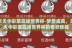 天天中彩票赢球世界杯-梦想成真，天天中彩票赢球世界杯的奇妙旅程