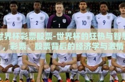 世界杯彩票股票-世界杯的狂热与智慧，彩票、股票背后的经济学与激情