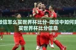 微信怎么买世界杯比分-微信中如何购买世界杯比分信息