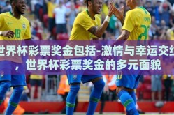 世界杯彩票奖金包括-激情与幸运交织，世界杯彩票奖金的多元面貌