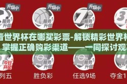 看世界杯在哪买彩票-解锁精彩世界杯，掌握正确购彩渠道——一同探讨观赛购彩之道