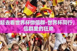 一起去看世界杯微信群-世界杯同行，微信群里的狂欢