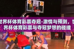 世界杯体育彩票夺冠-激情与预测，世界杯体育彩票与夺冠梦想的碰撞