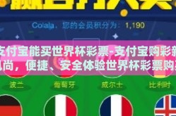 支付宝能买世界杯彩票-支付宝购彩新风尚，便捷、安全体验世界杯彩票购买