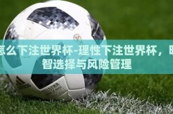 怎么下注世界杯-理性下注世界杯，明智选择与风险管理