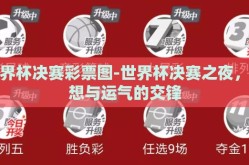 世界杯决赛彩票图-世界杯决赛之夜，梦想与运气的交锋