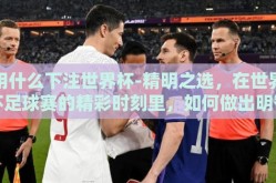 用什么下注世界杯-精明之选，在世界杯足球赛的精彩时刻里，如何做出明智的下注决策