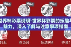 世界杯彩票说明-世界杯彩票的乐趣与魅力，深入了解与注意事项指南