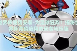 世界杯竞猜安装-为足球狂欢！揭秘世界杯竞猜应用的安装与乐趣