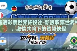 新浪彩票世界杯投注-新浪彩票世界杯，激情共鸣下的智慧抉择