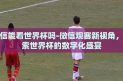 微信能看世界杯吗-微信观赛新视角，探索世界杯的数字化盛宴