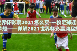世界杯彩票2021怎么买-一枚足球迷的梦想——详解2021世界杯彩票购买指南