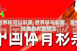 世界杯可以彩票-世界杯与彩票，激情碰撞的另类投注