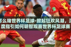 怎么赌世界杯足球-掀起狂欢风潮，深度指引如何明智观赛世界杯足球赛