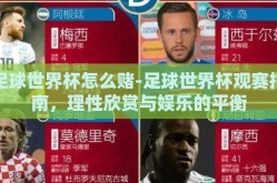 足球世界杯怎么赌-足球世界杯观赛指南，理性欣赏与娱乐的平衡