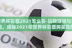 世界杯彩票2021怎么买-玩转球技与幸运，揭秘2021年世界杯彩票购买指南