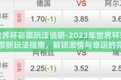 世界杯彩票玩法说明-2023年世界杯彩票新玩法指南，解锁激情与幸运的完美融合