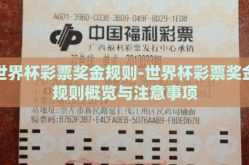 世界杯彩票奖金规则-世界杯彩票奖金规则概览与注意事项
