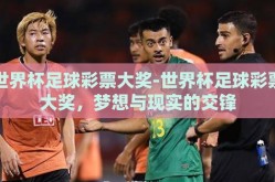 世界杯足球彩票大奖-世界杯足球彩票大奖，梦想与现实的交锋
