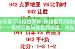 在哪里可以赌世界杯-体验世界巅峰赛事——寻找观赛与竞猜的乐趣，对在哪里可以赌世界杯的理性探讨