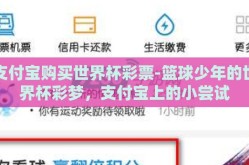 支付宝购买世界杯彩票-篮球少年的世界杯彩梦，支付宝上的小尝试