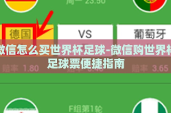 微信怎么买世界杯足球-微信购世界杯足球票便捷指南