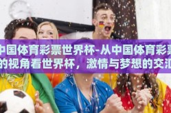 中国体育彩票世界杯-从中国体育彩票的视角看世界杯，激情与梦想的交汇