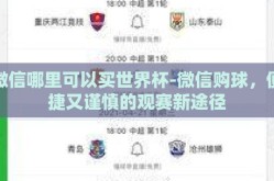 微信哪里可以买世界杯-微信购球，便捷又谨慎的观赛新途径
