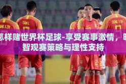 怎样赌世界杯足球-享受赛事激情，明智观赛策略与理性支持