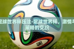足球世界杯压注-足球世界杯，激情与策略的交织