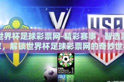 世界杯足球彩票网-精彩赛事，智选赢家，解锁世界杯足球彩票网的奇妙世界