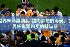世界杯彩票购买-踢向梦想的筹码，世界杯彩票购买的魅与惑