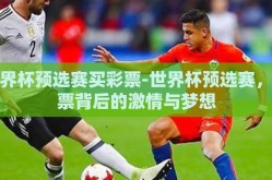 世界杯预选赛买彩票-世界杯预选赛，彩票背后的激情与梦想