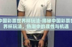 中国彩票世界杯玩法-揭秘中国彩票世界杯玩法，热潮中的理性与机遇