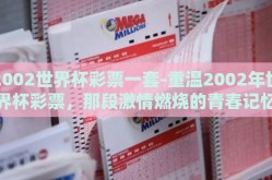 2002世界杯彩票一套-重温2002年世界杯彩票，那段激情燃烧的青春记忆