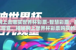 网上去哪买世界杯彩票-智慧彩票，赢在观赏，揭秘网上世界杯彩票购买的避坑攻略