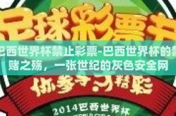 巴西世界杯禁止彩票-巴西世界杯的禁赌之殇，一张世纪的灰色安全网
