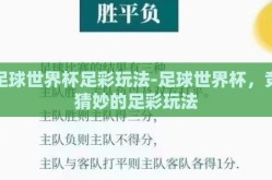 足球世界杯足彩玩法-足球世界杯，竞猜妙的足彩玩法