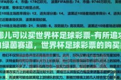 哪儿可以买世界杯足球彩票-有所追求的绿茵赛道，世界杯足球彩票的购买渠道探讨