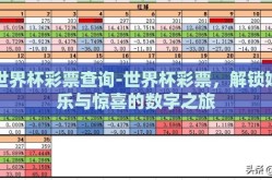 世界杯彩票查询-世界杯彩票，解锁娱乐与惊喜的数字之旅