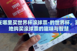 在哪里买世界杯滚球票-的世界杯，实地购买滚球票的趣味与智慧