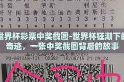 世界杯彩票中奖截图-世界杯狂潮下的奇迹，一张中奖截图背后的故事