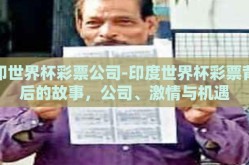 印世界杯彩票公司-印度世界杯彩票背后的故事，公司、激情与机遇