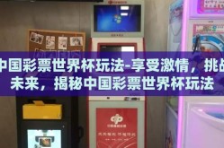 中国彩票世界杯玩法-享受激情，挑战未来，揭秘中国彩票世界杯玩法