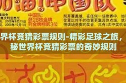 世界杯竞猜彩票规则-精彩足球之旅，揭秘世界杯竞猜彩票的奇妙规则