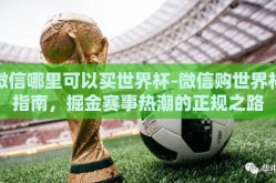 微信哪里可以买世界杯-微信购世界杯指南，掘金赛事热潮的正规之路