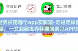世界杯用哪个app买彩票-走进足球盛宴，一文洞察世界杯期间购彩APP的选取策略